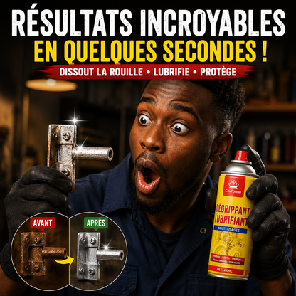 Formule X - Spray Anti-Rouille Lubrifiant 100ML